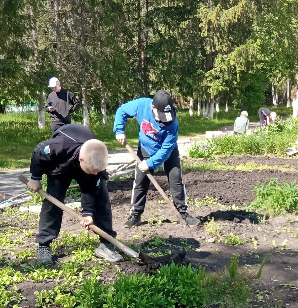 Трудовое воспитание.