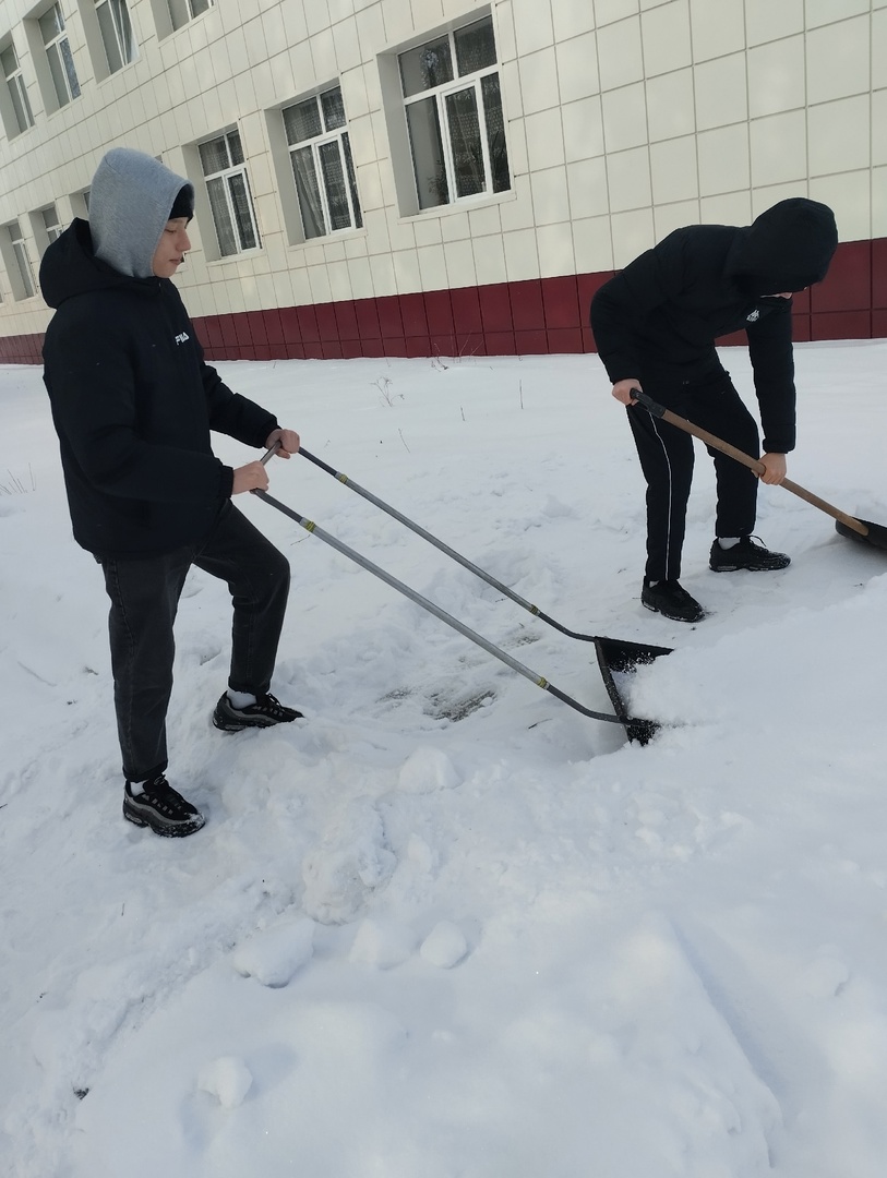 Трудовое воспитание.